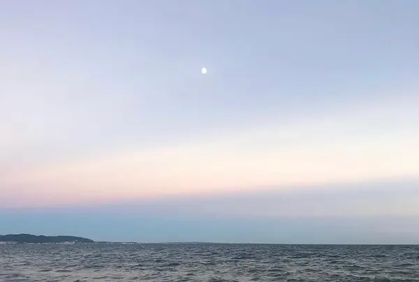 七里ヶ浜の写真・動画_image_416914