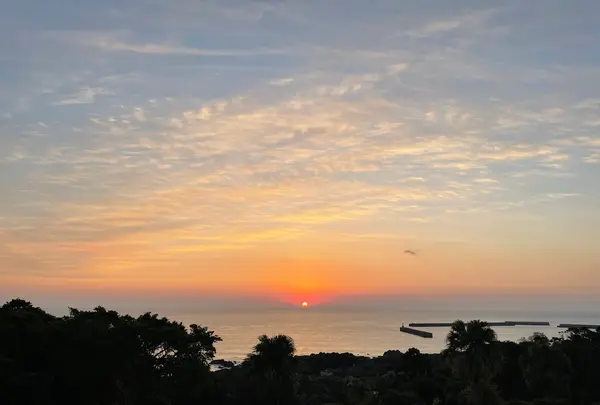 屋久島グリーンホテルの写真・動画_image_417076