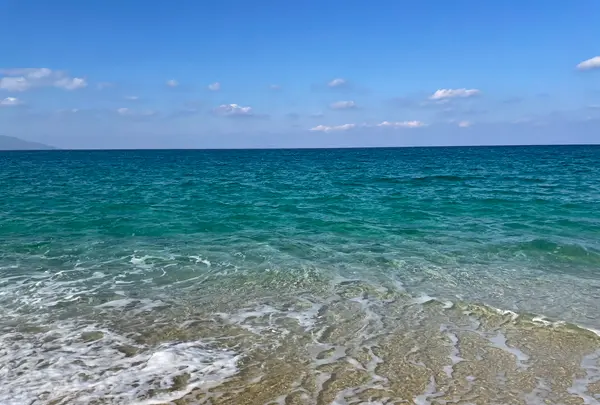 永田・いなか浜の写真・動画_image_417098