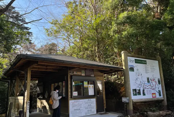 ヤクスギランド（屋久島自然休養林）の写真・動画_image_417109
