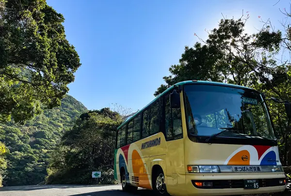 屋久島グリーンホテルの写真・動画_image_417123