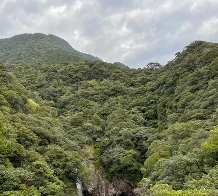竜神の滝の写真・動画_image_417175