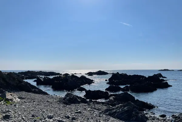 湯泊温泉の写真・動画_image_417198