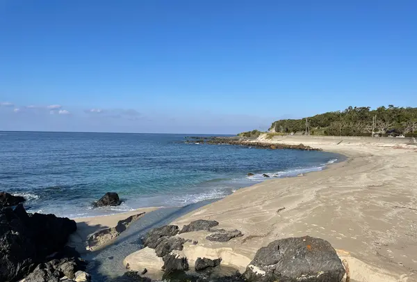 中間ガジュマルの写真・動画_image_417201