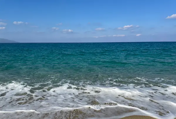 永田・いなか浜の写真・動画_image_417213