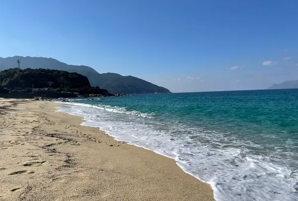 永田・いなか浜の写真・動画_image_417215