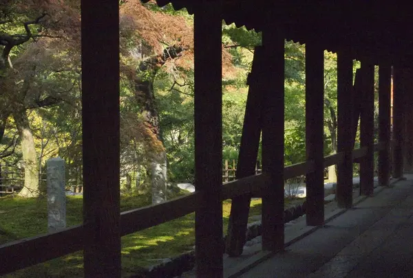 東福寺の写真・動画_image_417219