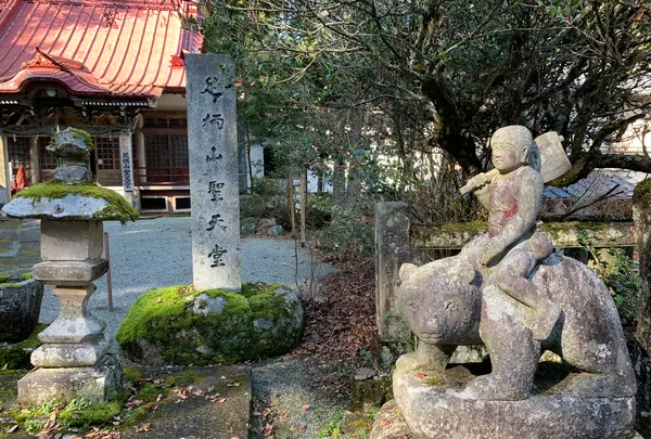 足柄峠の写真・動画_image_417242