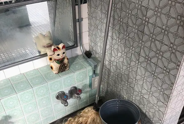 芸術銭湯+Café 宮の湯の写真・動画_image_417285