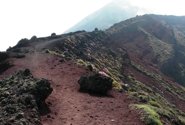 高千穂峡の写真・動画_image_417331