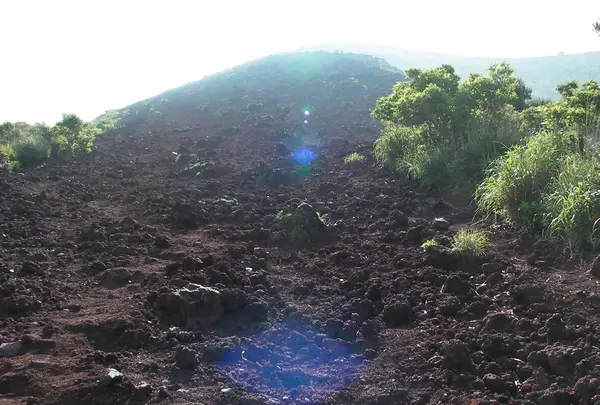 高千穂峡の写真・動画_image_417332