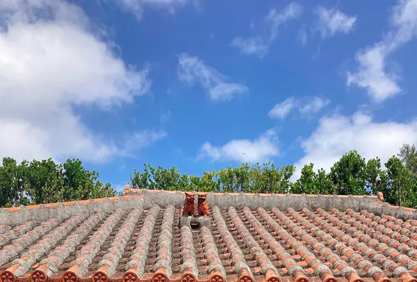 ふくぎの写真・動画_image_417377
