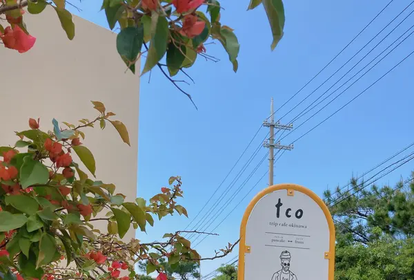 tripcafeokinawaの写真・動画_image_417381