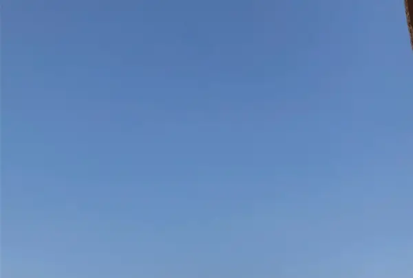 Sydney Opera House（シドニー・オペラハウス）の写真・動画_image_417407