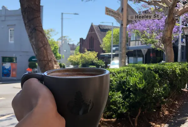 Sonderの写真・動画_image_417414