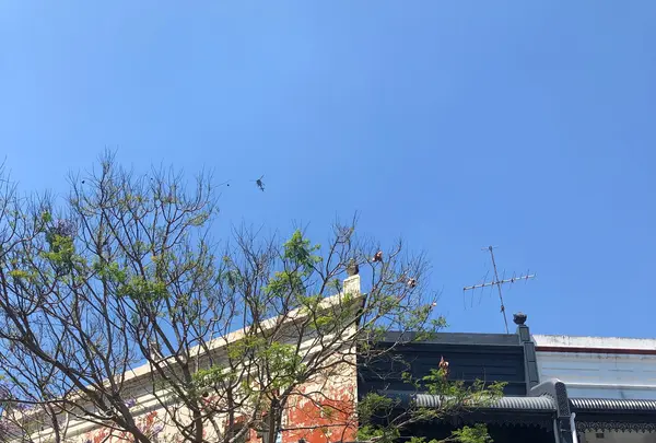 Sonderの写真・動画_image_417425