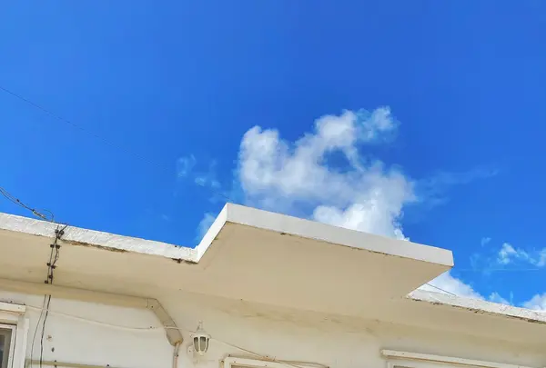 いしぐふーの写真・動画_image_417495