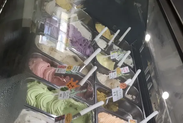 おいシーサー遇(ジェラート)の写真・動画_image_417519