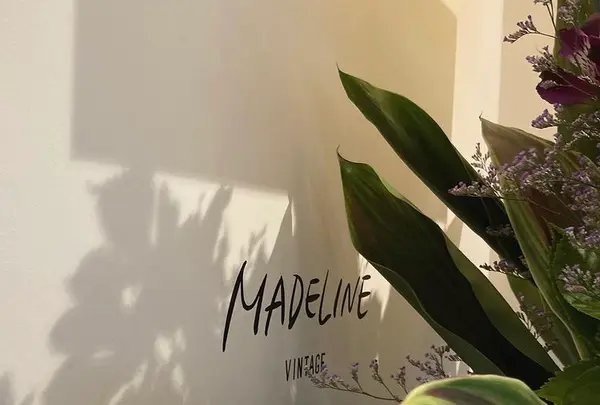 マンションキリイの写真・動画_image_417656