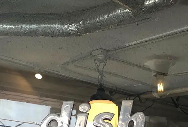 dish（ディッシュ）の写真・動画_image_417662