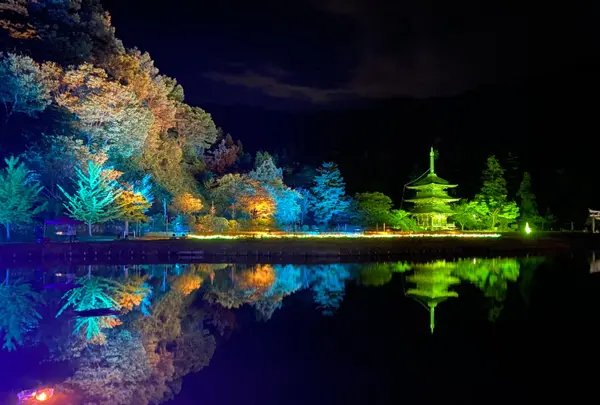 まほろば古の里歴史公園の写真・動画_image_417724