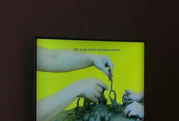 東京藝術大学大学美術館の写真・動画_image_417836