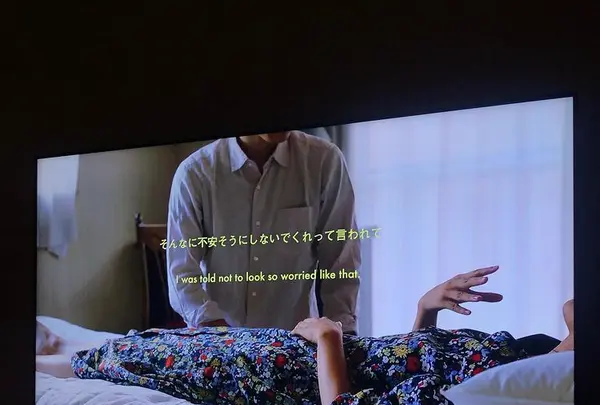 東京藝術大学大学美術館の写真・動画_image_417837