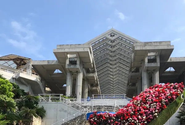 海洋博公園の写真・動画_image_417868
