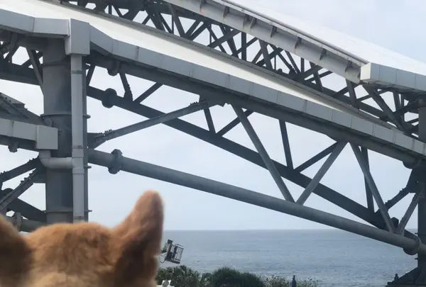 海洋博公園の写真・動画_image_417870