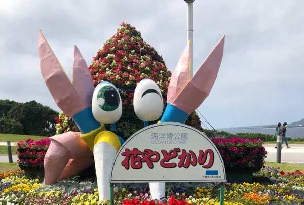 海洋博公園の写真・動画_image_417871