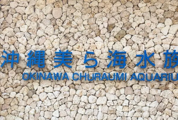 海洋博公園の写真・動画_image_417872