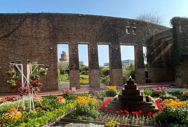 熱帯ドリームセンターの写真・動画_image_417879