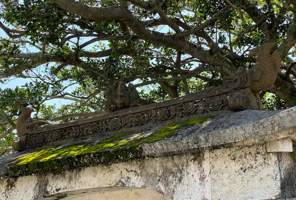 首里城の写真・動画_image_417912