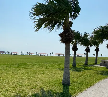 豊崎海浜公園 美らSUNビーチの写真・動画_image_417942