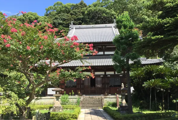 清見興国禅寺 (清見寺)の写真・動画_image_418230