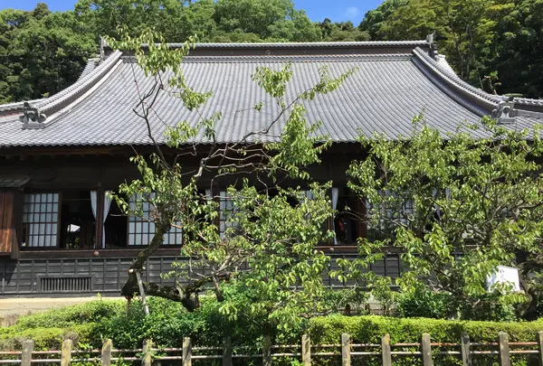 清見興国禅寺 (清見寺)の写真・動画_image_418238