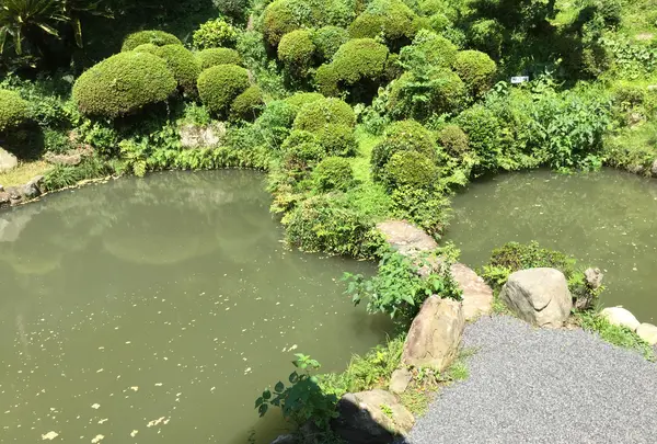 清見興国禅寺 (清見寺)の写真・動画_image_418264