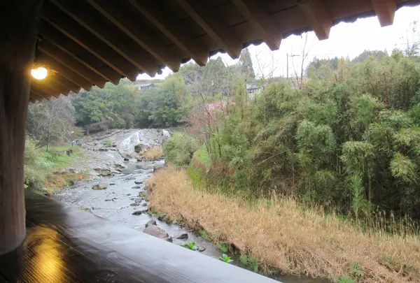 松葉ごろん亭の写真・動画_image_418584