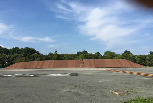 駿府城 本丸跡の写真・動画_image_418647