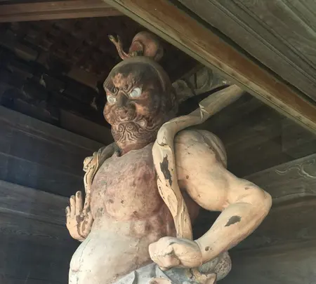 臨済寺の写真・動画_image_418902