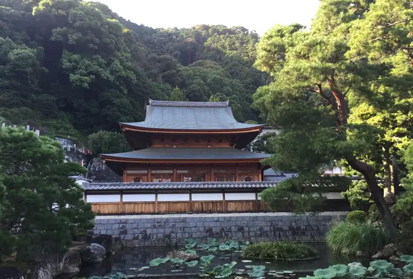 臨済寺の写真・動画_image_418905