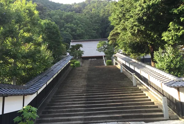 臨済寺の写真・動画_image_418908