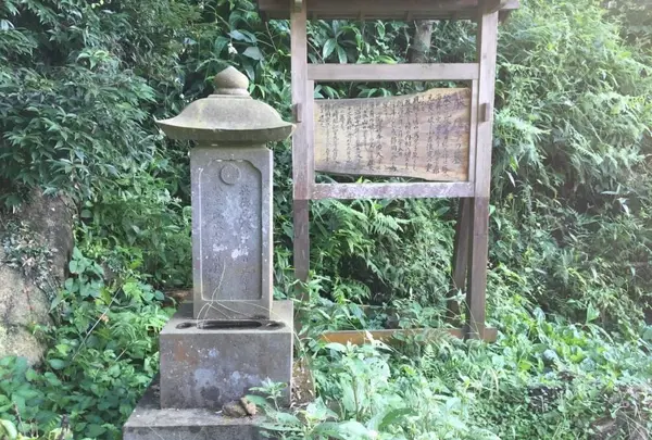 蓮永寺の写真・動画_image_418911