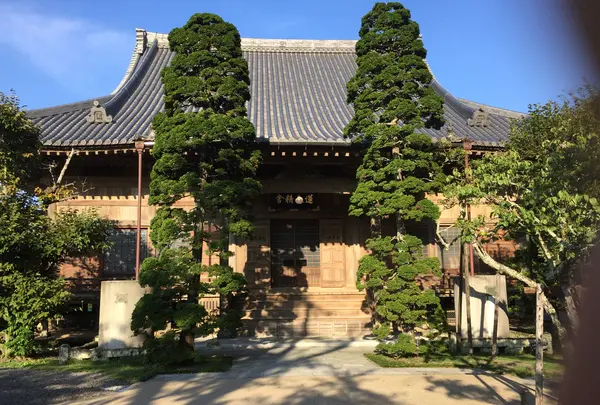 蓮永寺の写真・動画_image_418913