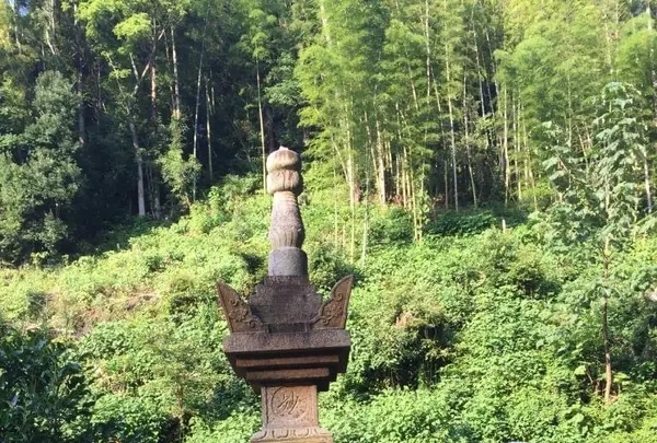 蓮永寺の写真・動画_image_418915