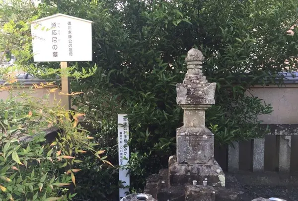 華陽院の写真・動画_image_418916