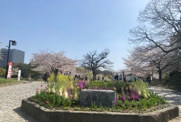 舞鶴公園の写真・動画_image_418946