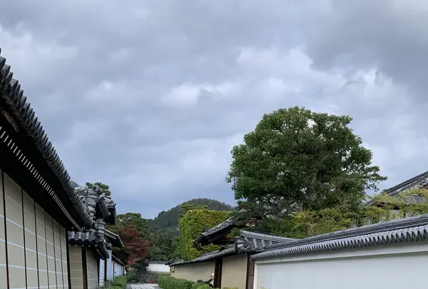 妙心寺の写真・動画_image_419124