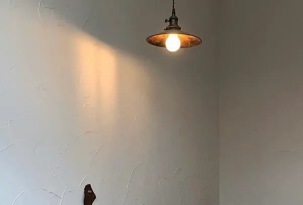 BAGEL8744の写真・動画_image_419162