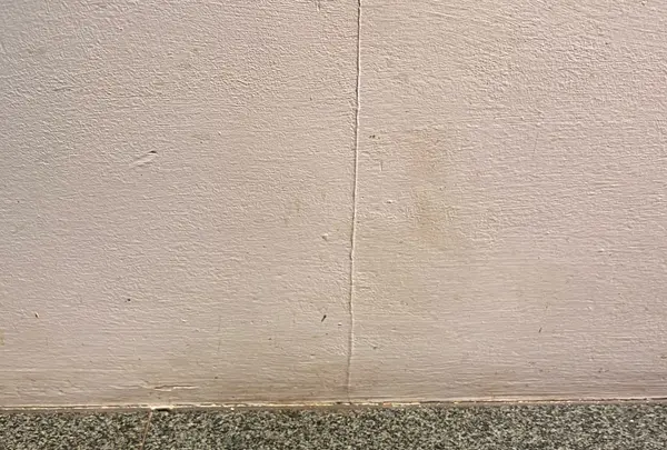 牡蠣屋の写真・動画_image_419280